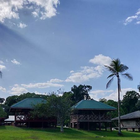 Iwokrama River Lodge Makari Ngoại thất bức ảnh