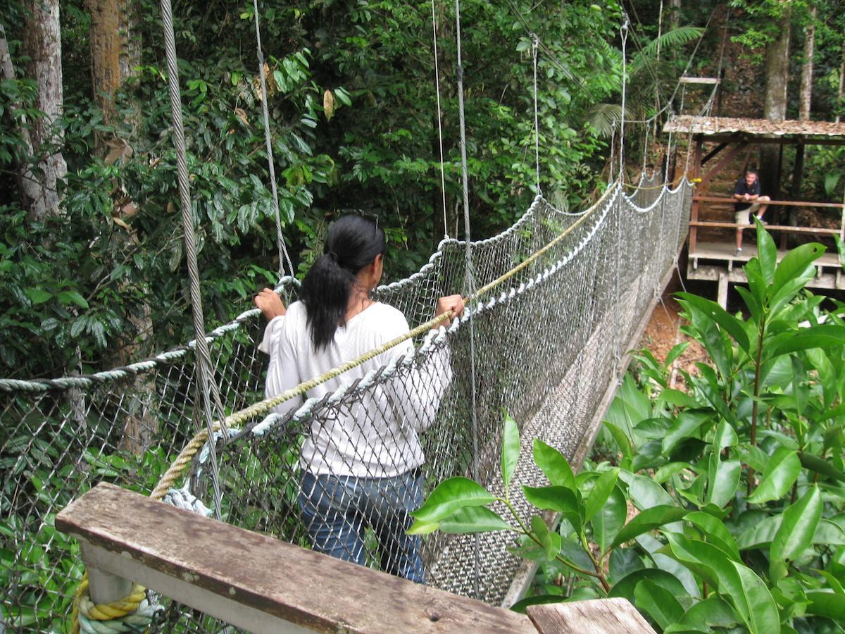 Iwokrama River Lodge Makari Ngoại thất bức ảnh