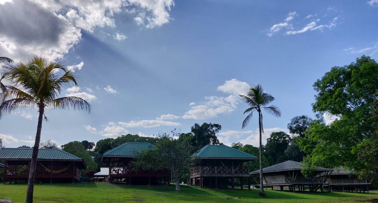 Iwokrama River Lodge Makari Ngoại thất bức ảnh